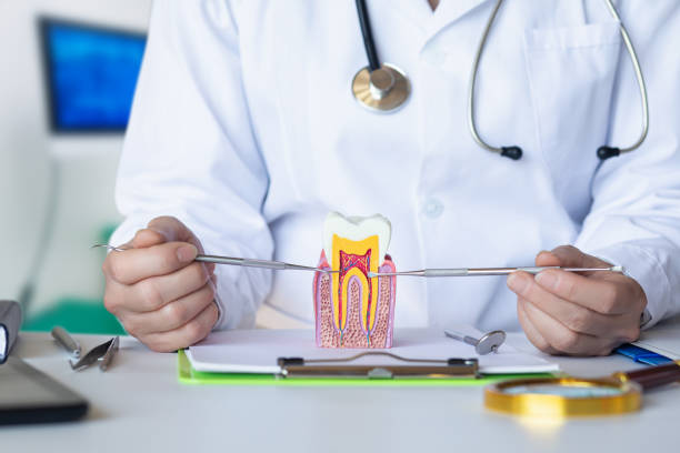 Best Mobile Emergency Dentist in Stickney, IL